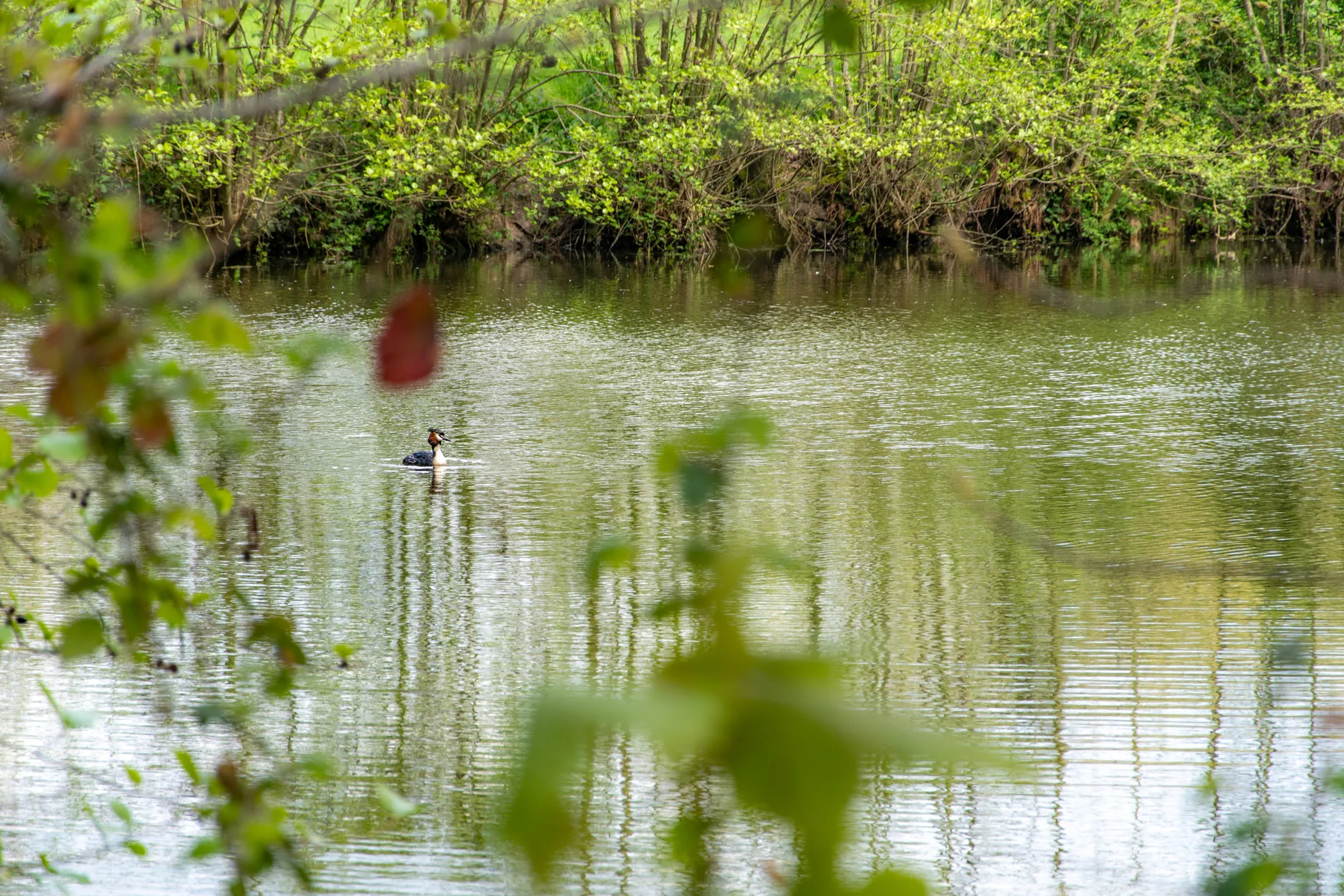 Natuur