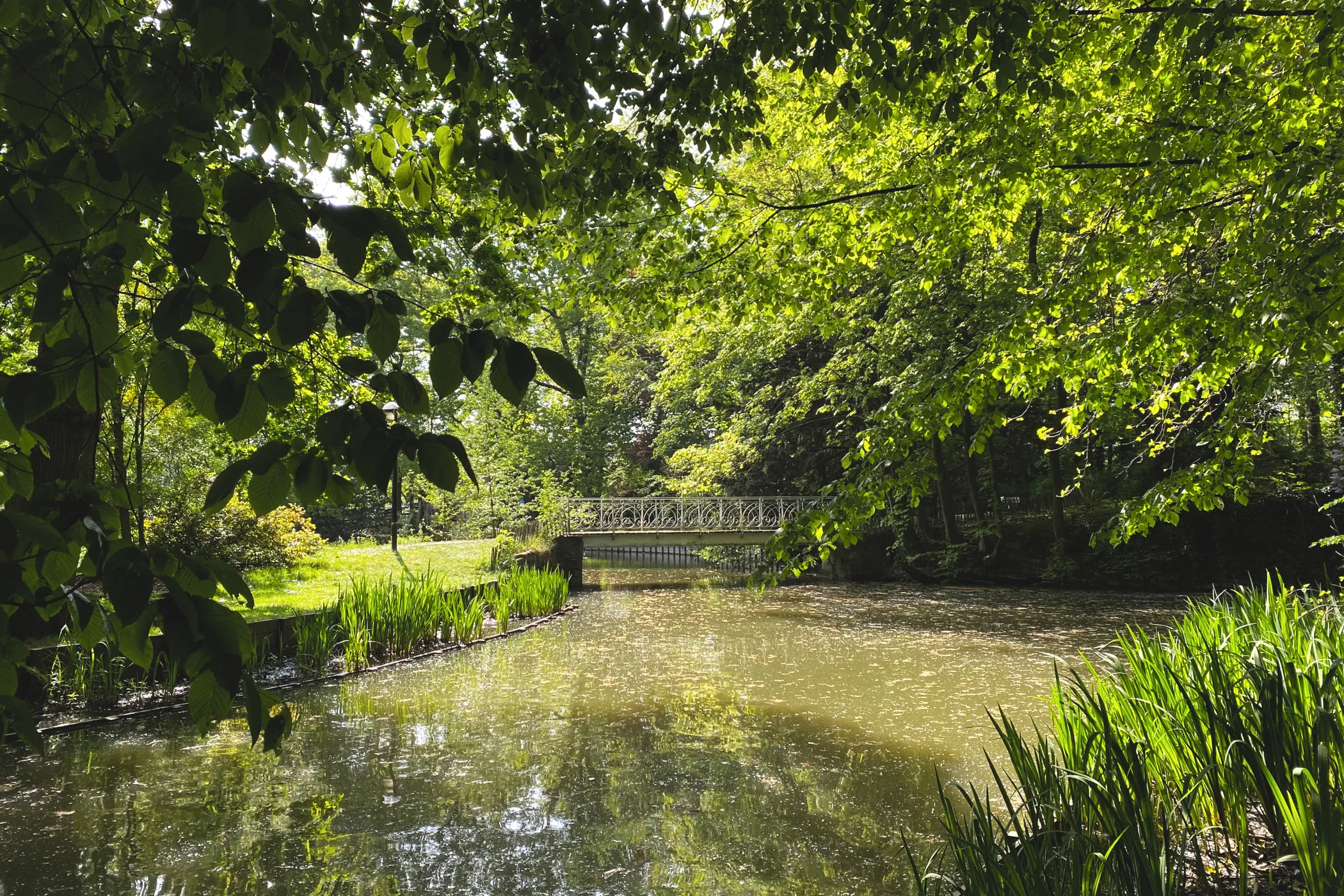 Frans Toch Park