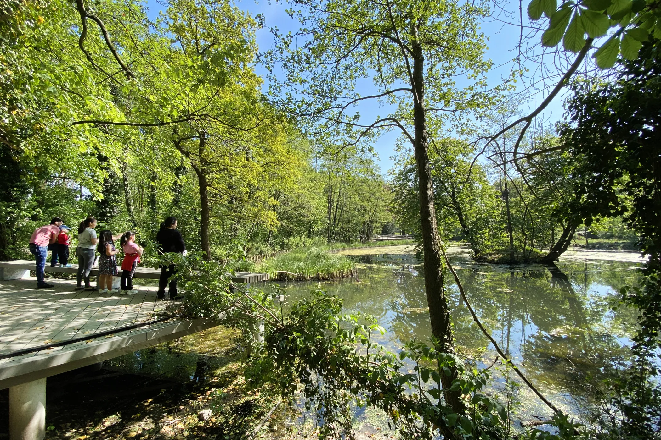 Park De Vijvers