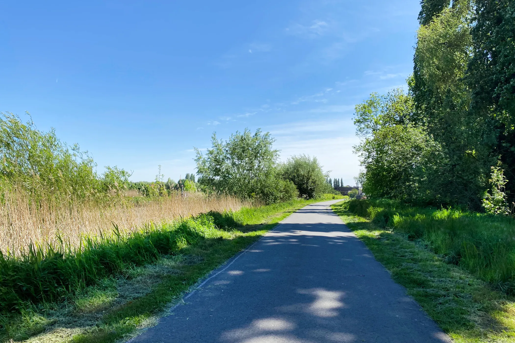 Jaagpad langs de Schelde