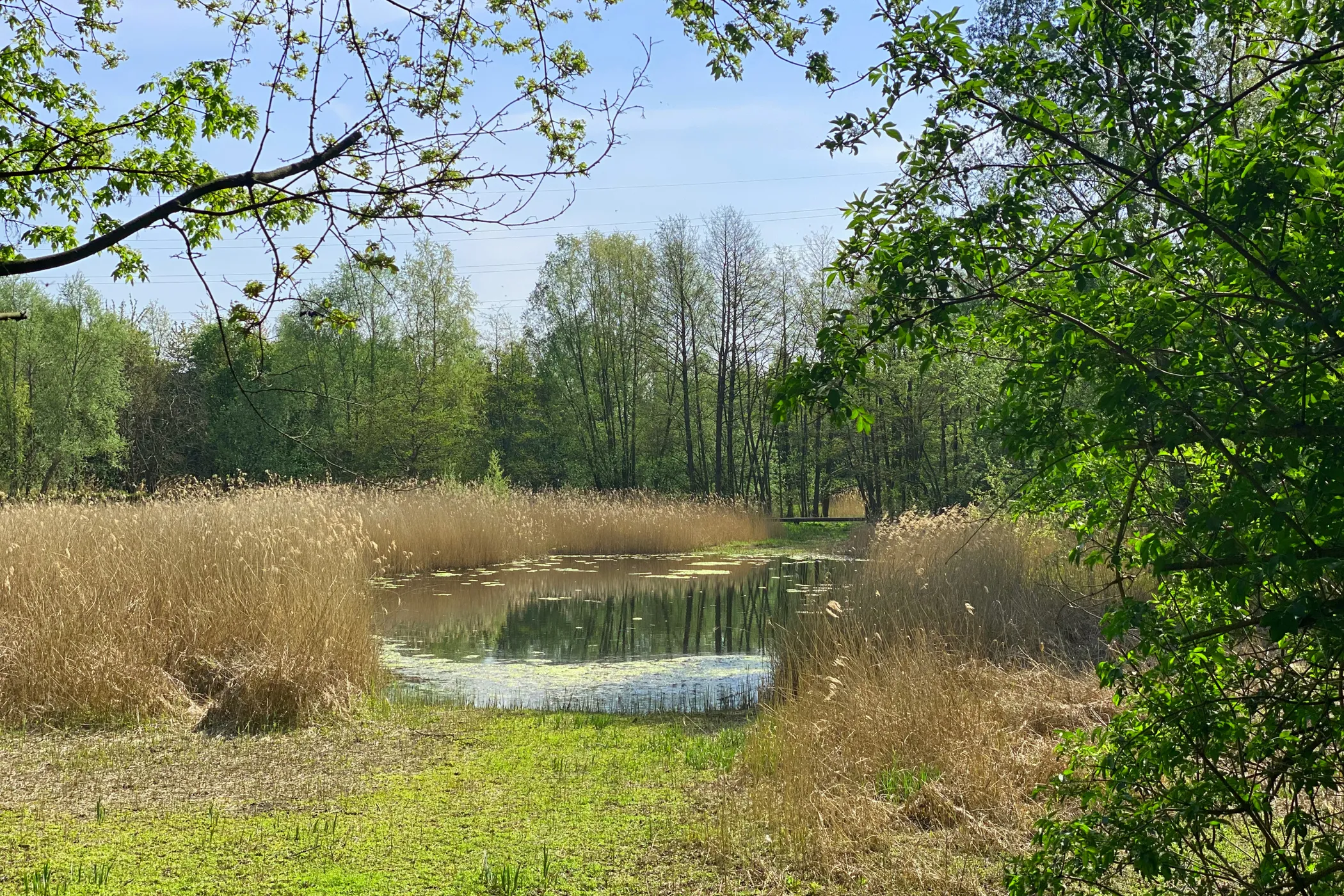 Liedermeerspark