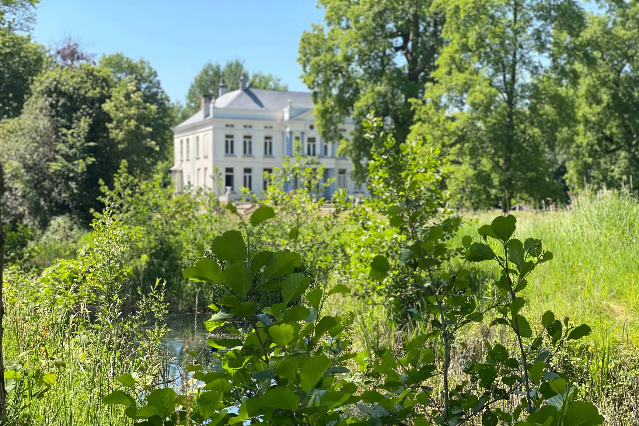 Het Kasteel van Zwijnaarde