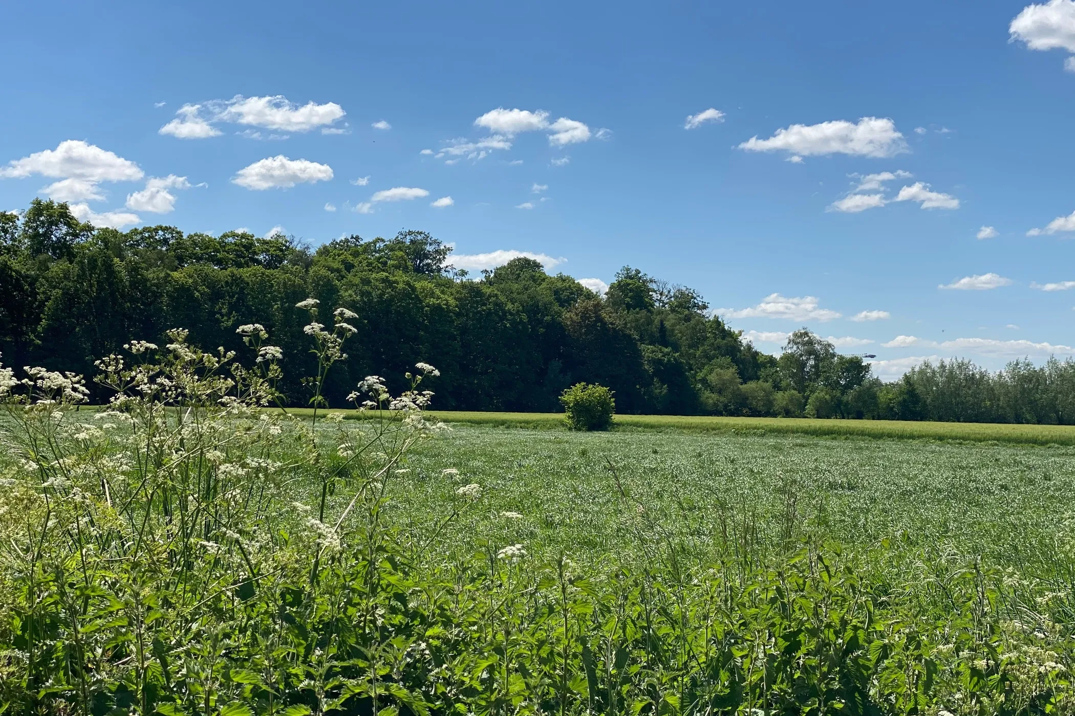 Parkbos Kastelenroute