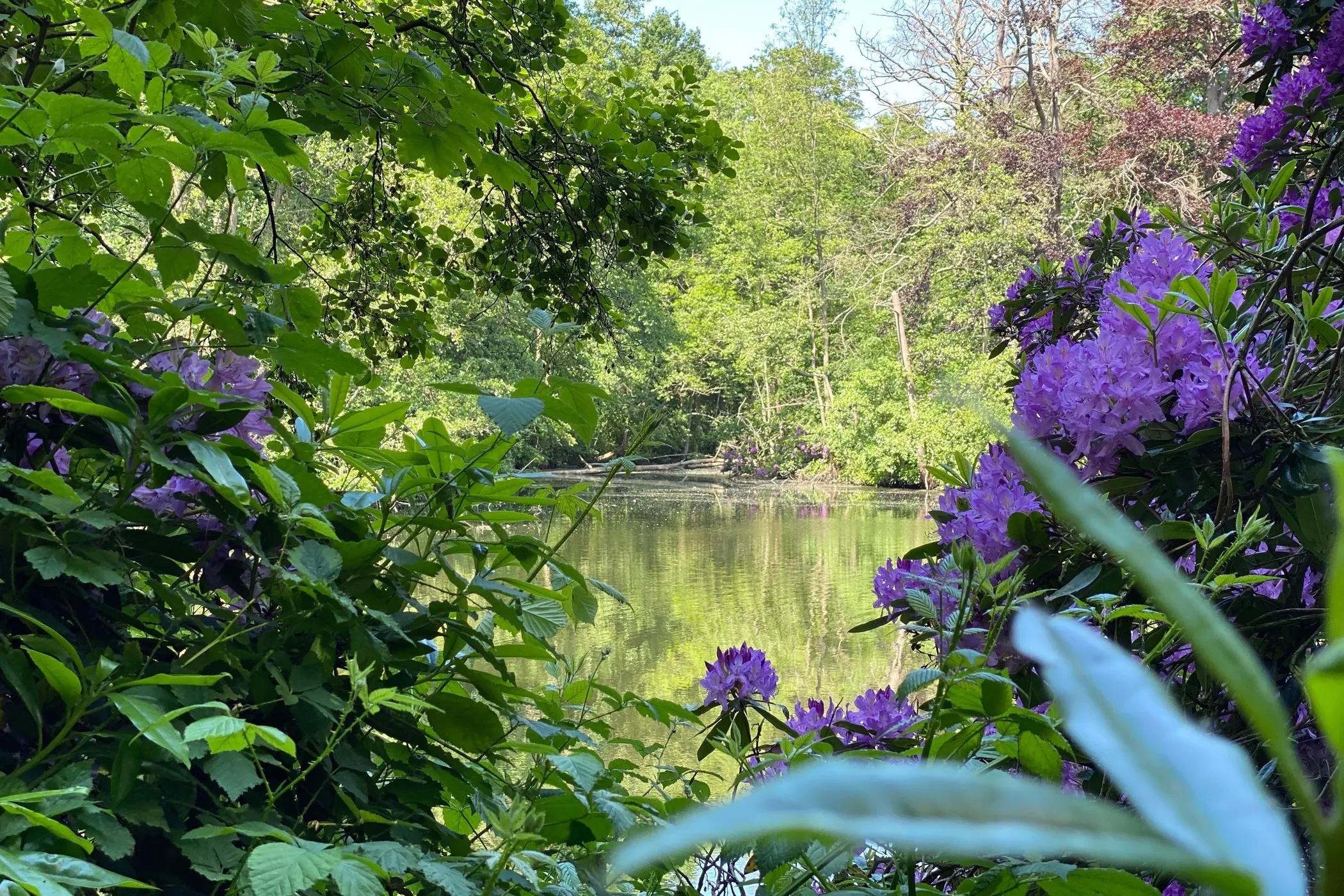 Algemeen natuur Borluutpark 23