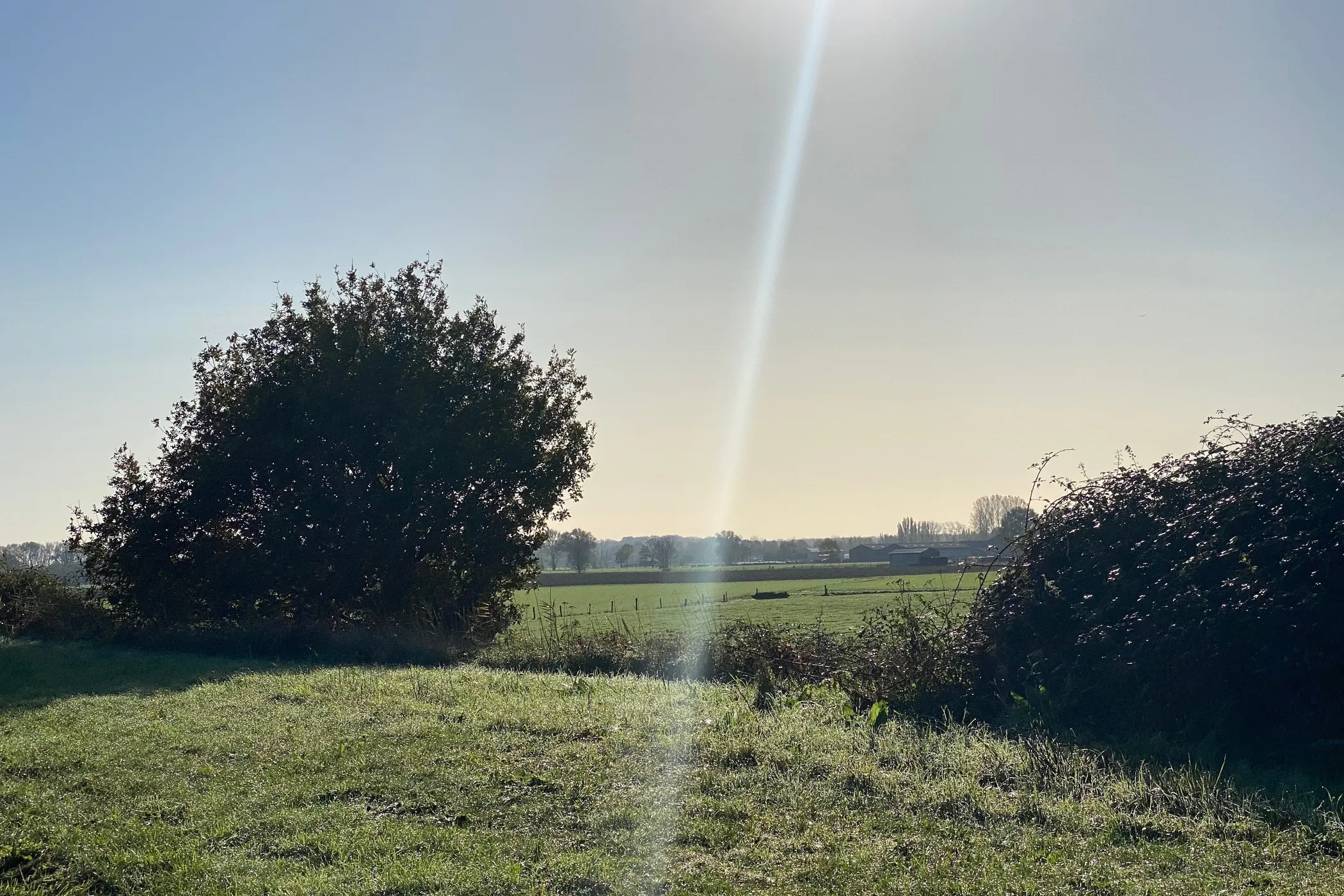 Landbergh vastgoed Vlaanderen Aalter 7