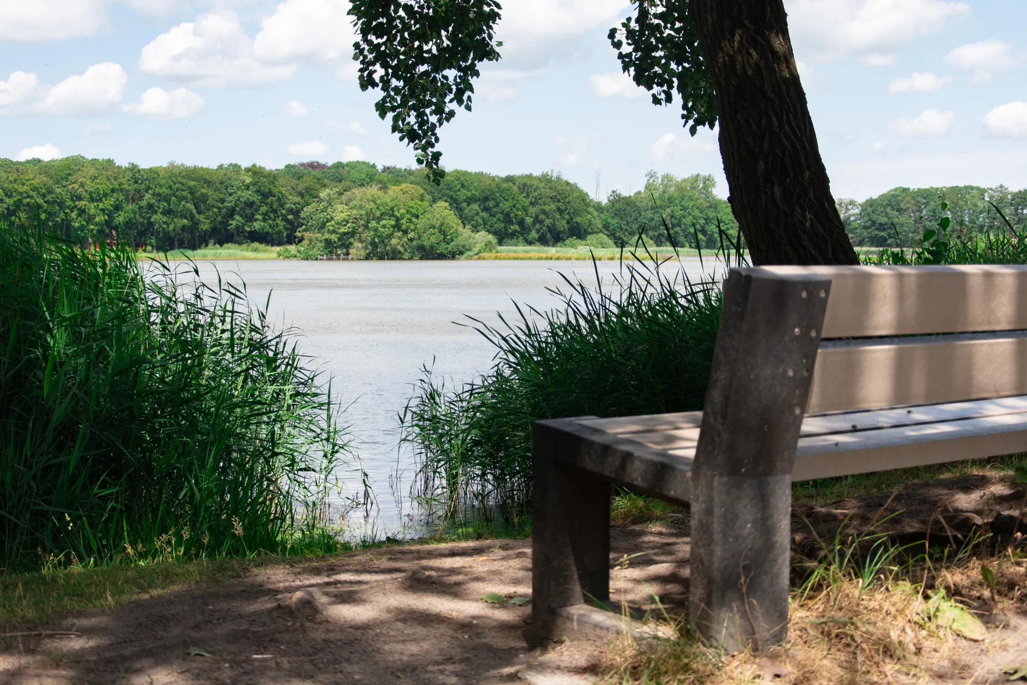 Landbergh vastgoedmakelaar Aalter Kraenepoel1