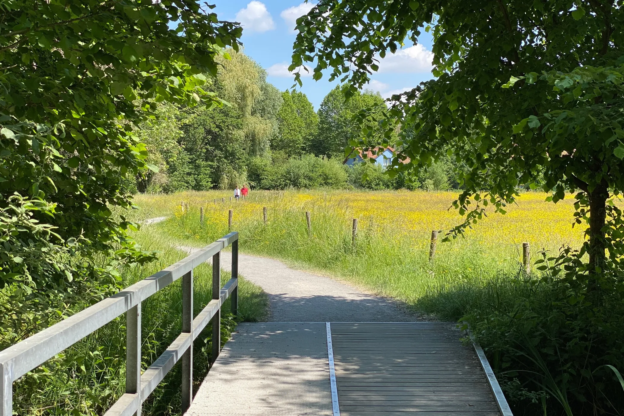 Sint Denijs Westrem natuur Natuurpark Overmeers 8