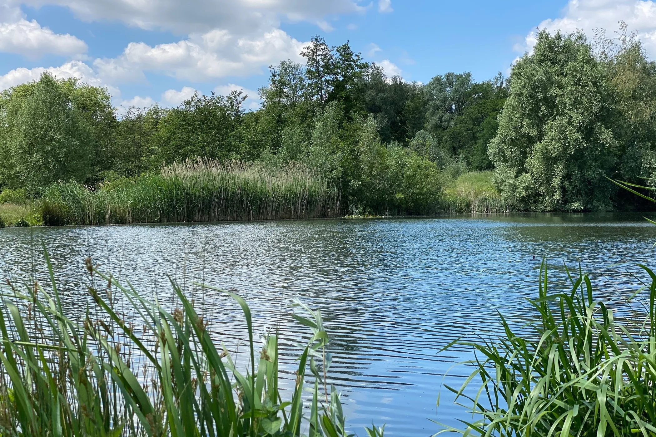 Sint Denijs Westrem natuur Natuurpark Overmeers 17