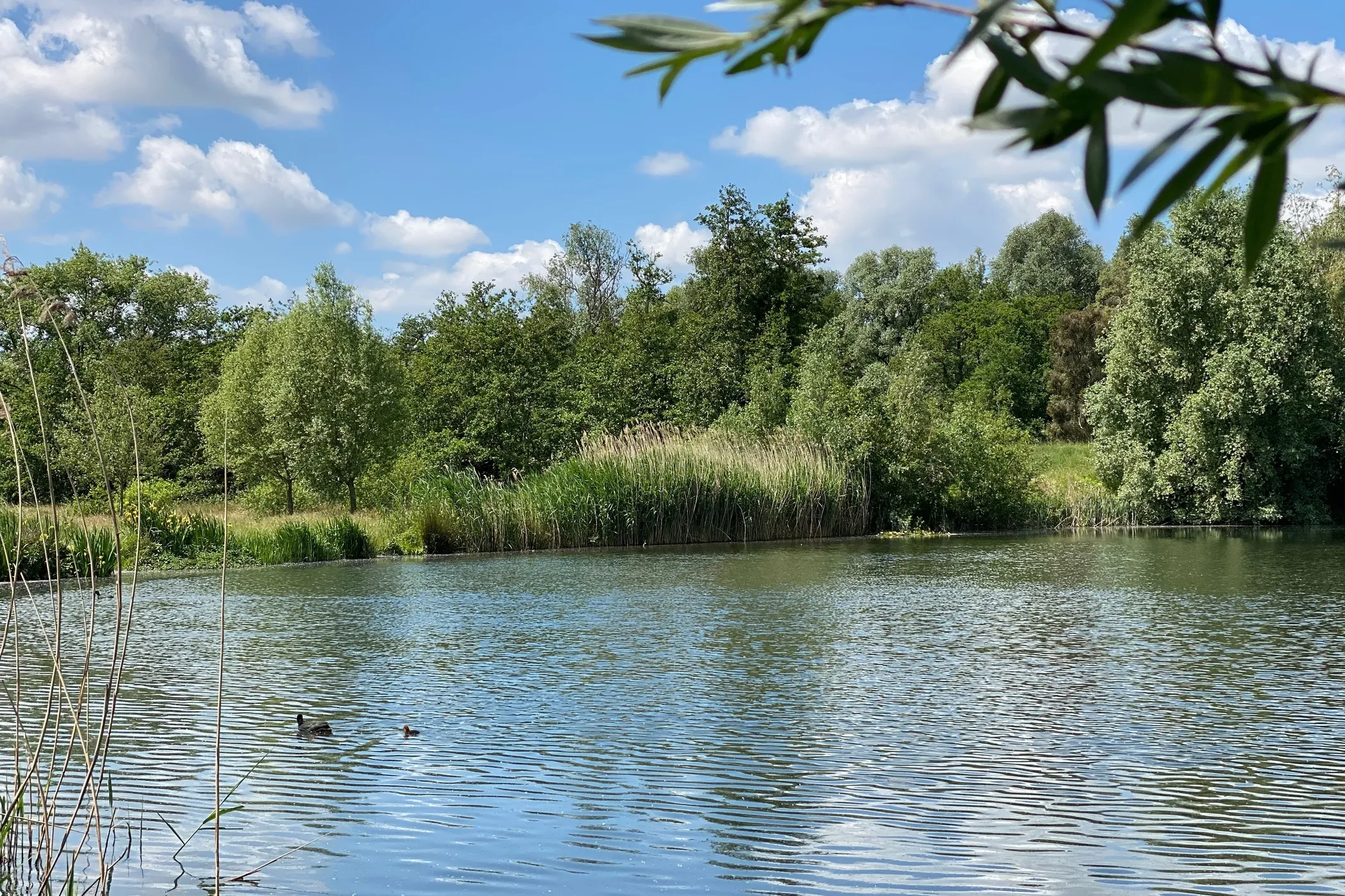 Natuurpark Overmeers