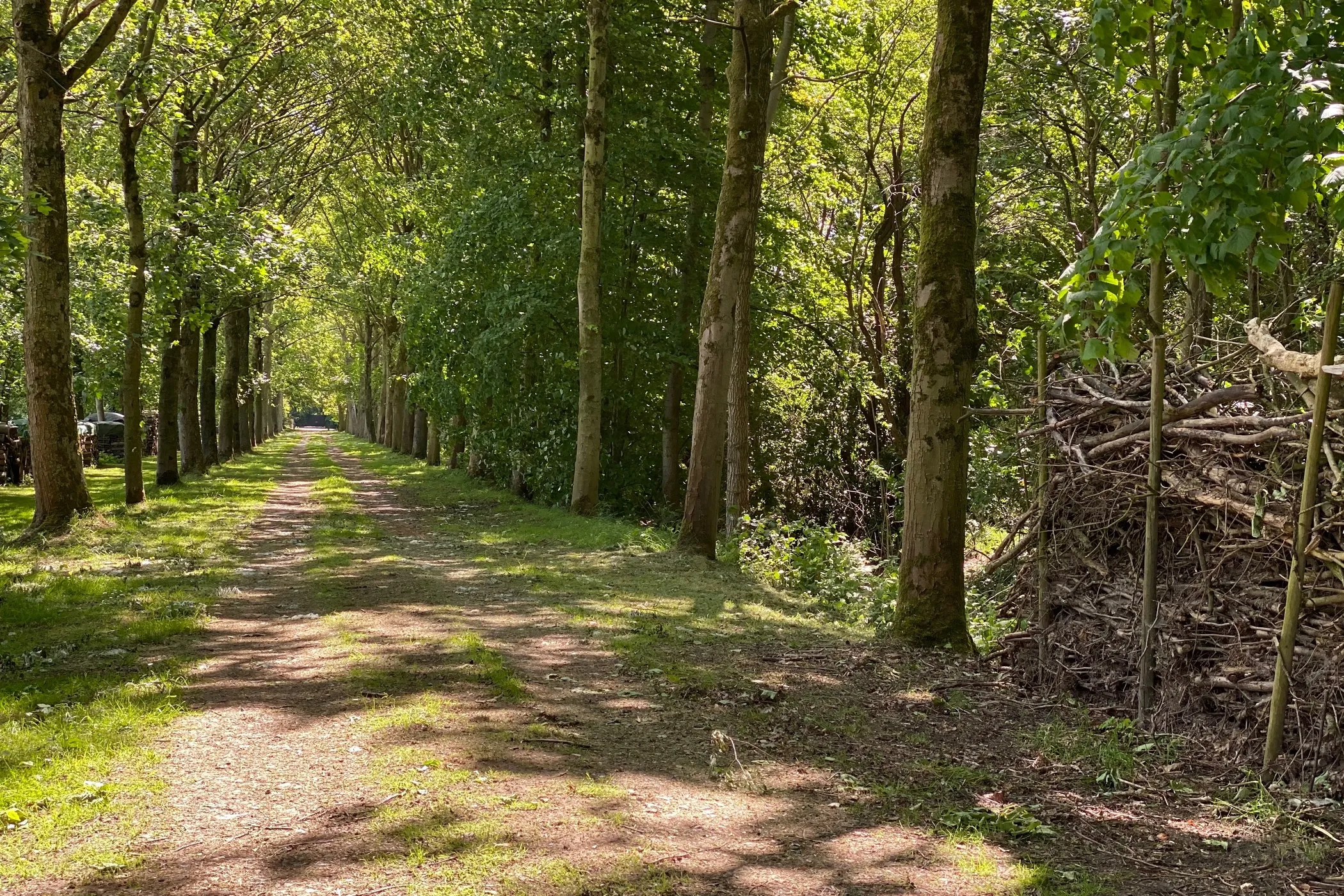 Algemeen natuur Parkbos Kastelenroute 3