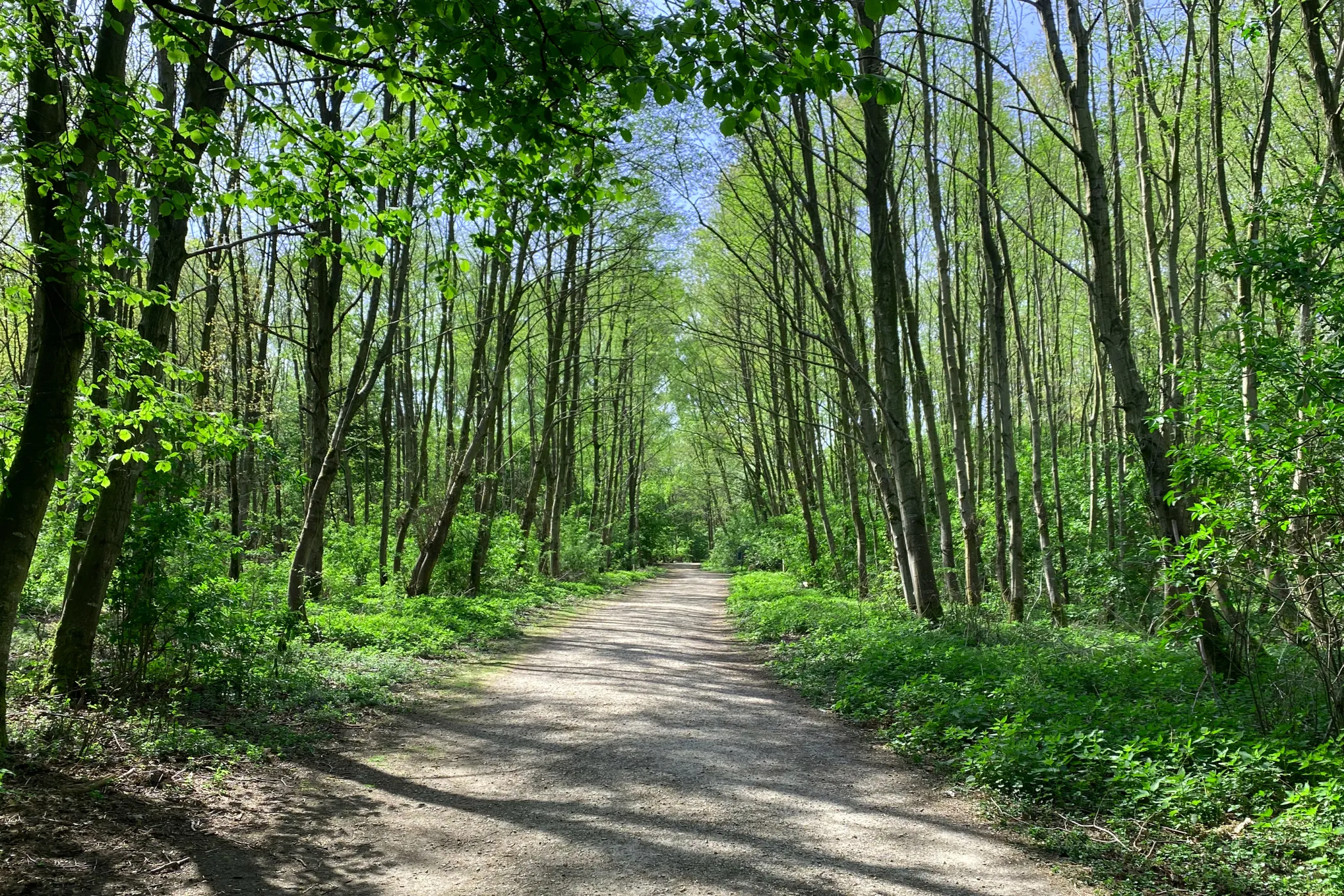 Liedermeerspark2